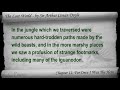 chapter 11: for once i was the hero. classic literature videobook with synchronized text, interactive transcript, and closed captions in multiple languages. audio courtesy of librivox. read by mark f. smith. playlist for the lost world by sir arthur conan doyle: www.youtube.com