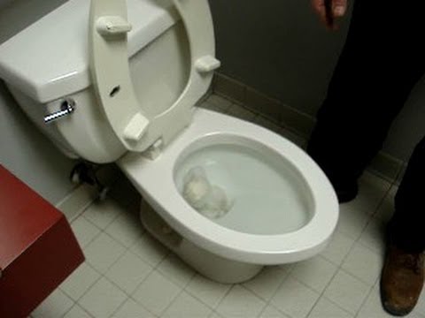 how to unclog a toilet with an object inside