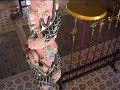 Cao Dai Cao Dai