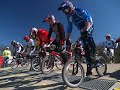 BMX Jiri Holub Profile