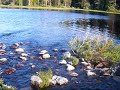 Lentuankoski Kuhmo Finland