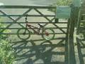 videos de bmx vid 1 = dum