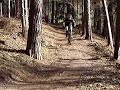 downhill lajse No.1