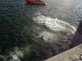 Eithen jumpin off the pier