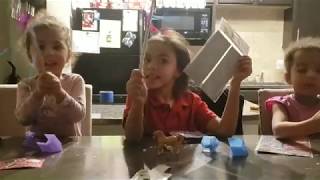 Surprise Christmas gifts ??