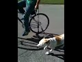 Roxbikeride