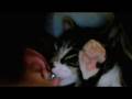 videos de Koda vs. earlobe.m4v
