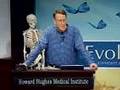 HHMI's Evolution - Fossils, Genes, and Embryos
