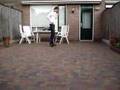 EHV-Jumper Vs... Kuun