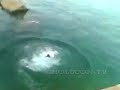 CLAVADO MORTAL (VIDEO MUY FUERTE)
