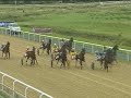 RACE EIGHT, August 10, 2008. Dundalk Stadium Harness Racing