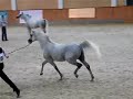 ogier Piaff