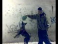 PITBULL JUMP - \"SAFFO\" - gIANKO.BYFEUDO