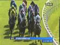 4.05 Investec Oaks