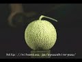Fruit Peeler