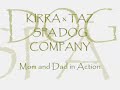 Spa Dog Company - Puppies from Kirra x TAZ