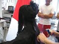 donating my hair to locks of love part 2