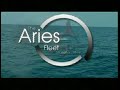 Aries Fleet - Sport Fishing in Mazatlan