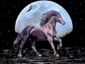 trick pony 2