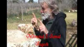 10 صوبا 10 صوبا