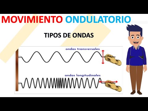 MOVIMIENTO ONDULATORIO | Tipos de Ondas | Paso a Paso - Diviértete Aprendiendo.