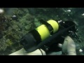 Shark e  Yolanda Reef in tanga