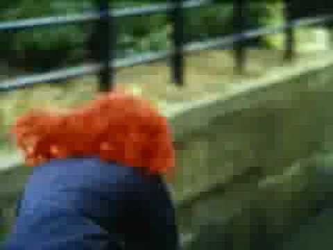 Imagen de previsualización de YouTube