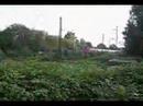Hagen Bathey Mix - #2