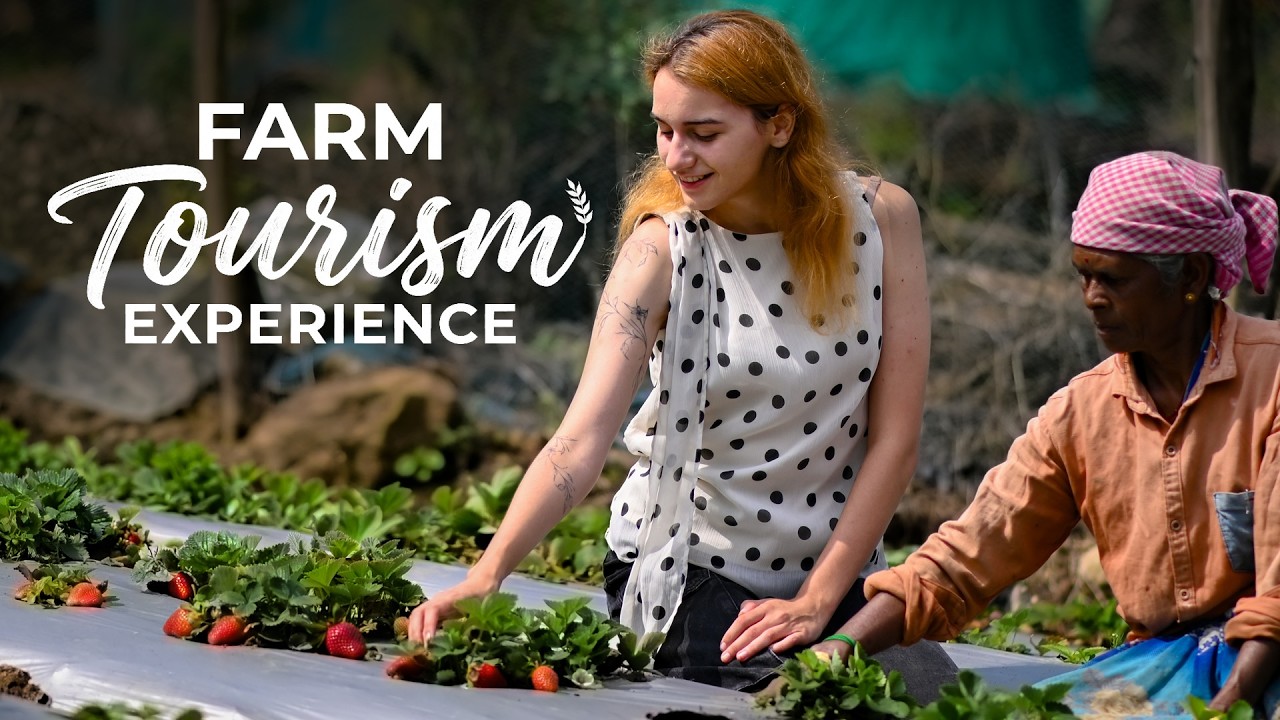 Farm Tourism Experience