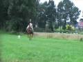 videos de dressuur wedstrijd Bronneger met Maro augustus 2008 klasse L1