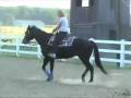 videos de Jager in action part 2