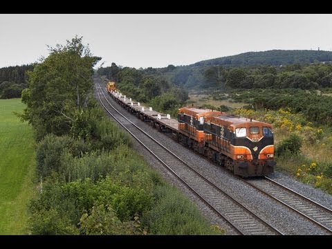 Dublin Cork Line - Iarnród Éireann's 141 class (EMD JL8) Nos. 147 & 177 head a Gort-Portlaoise PWD train seen South of Portarlington on the main Dublin-Cork line on 01-August-2...