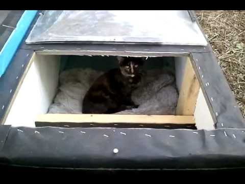 how to provide shelter for stray cat