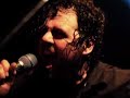 here is a slideshow dbt's show at the phoenix in toronto october 18.  there are a few shots of the opening band 'the drams