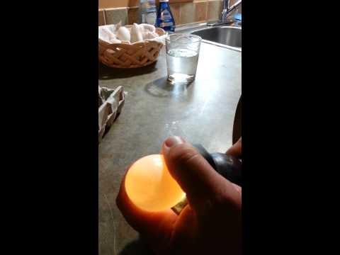 how to float test an egg