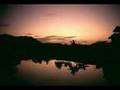 Salmo 91-- Vertical