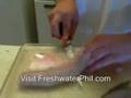 Crappie filleting instructions