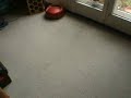 Eletrolux Trilobite spot cleaning robot vacuum