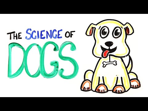 The Science of DOGS