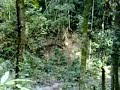 Command & Conquer - Part 1 - Malaysia Jungle - video05