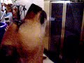 Peanut sings