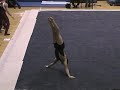 scotts-2008-iowa-floor-exercise.html