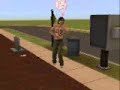 Jonas Brothers Sim 2 death