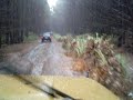 Mudhog at Waiuku Forest in the hale