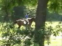 Marmite Magic cross country school