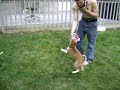Jaxon Flying