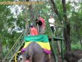 Elephant Back Safari in Sri Lanka                