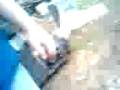 videos de Opel Calibra brumm brumm