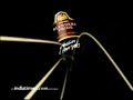 blenders pride seagram
