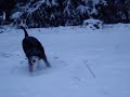 SnowDoodle - Feb 22, 2008